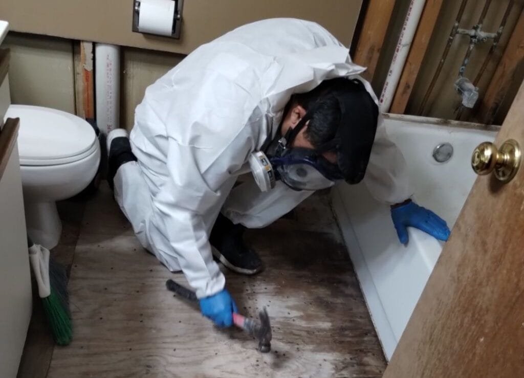 USA Water Damage Restoration Sanford - Kitchen Water Damage Repair in Sanford FL